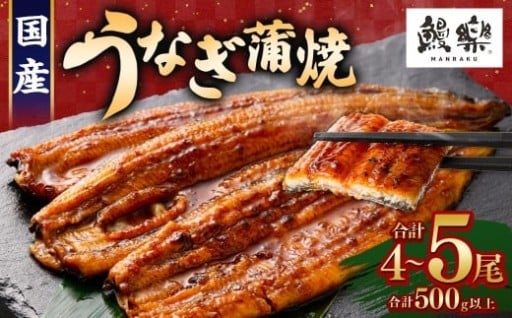 うなぎ 国産 うなぎ蒲焼 4～5尾 計500g以上