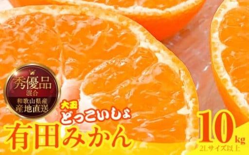 【2025年先行予約】みかん 大玉 どっこいしょ 箱込 10kg ( 内容量 9.2kg ) 
