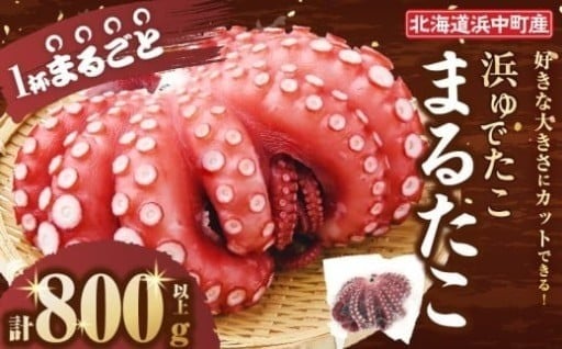 浜中町の極太「まるたこ」到来!!🐙✨