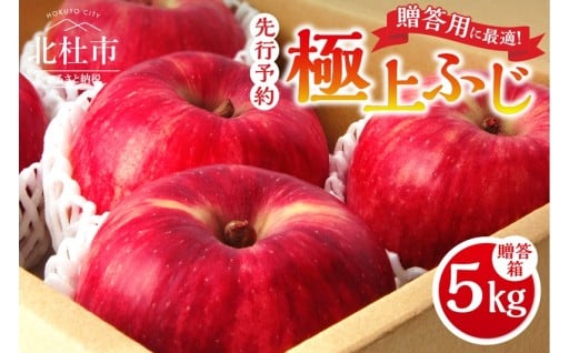 【2025年先行予約】八ヶ岳南麓自然の恵み　極上ふじ5kg りんご 