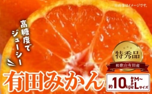 BD6034n_【２０２５年先行予約】高糖度 有田みかん 特秀品 10kg (M～Lサイズおまかせ)