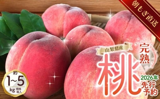 朝もぎ直送!『山梨県産　桃』約5～8玉 