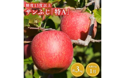 1月 サンふじ約3kg 糖度13度以上 森山商店 