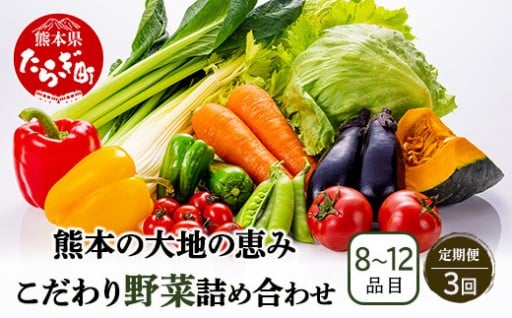 【定期3回】熊本の大地の恵み旬の野菜詰め合わせセット 8〜12品