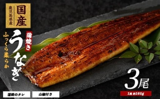 夏疲れに！残暑はうなぎで栄養チャージ🐟