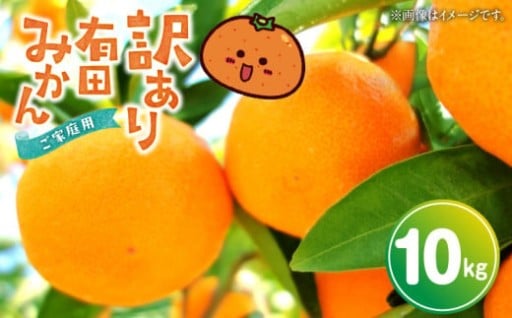 有田みかん 【訳あり 家庭用】 10kg