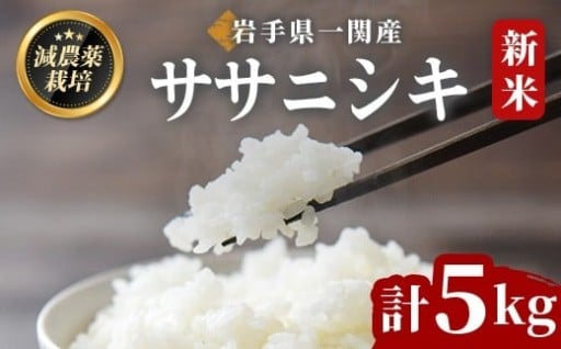 《令和7年産 新米》 ササニシキ 5kg ＜精米＞ 