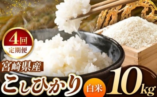 【 定期便4回 】令和7年産 こしひかり 10kg （ 白米 ） 宮崎県産