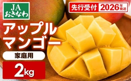 【先行受付】JAおきなわの産直アップルマンゴー約1.5kg【2026年発送】【ご家庭用・白箱】