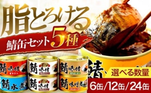 ＼そのままでも、アレンジしても美味しい鯖缶／鯖缶詰 詰め合わせ A 180g×6缶～24缶