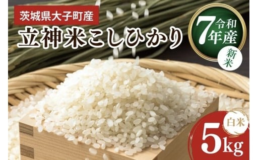 大子町の美味しい新米！「立神米こしひかり」登場！