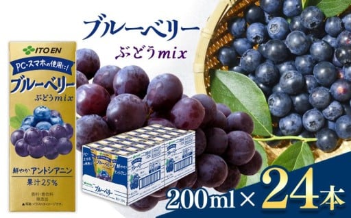 ブルーベリー飲料 紙パック ( 200ml × 24本 ) 