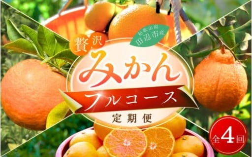 【4回定期便】和歌山 贅沢みかんフルコース （宮川早生みかん・ポンカン・紅八朔・不知火） 
