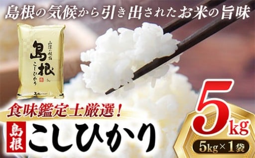 【新米 先行受付】島根こしひかり 5kg（5kg×1袋）【食味鑑定士厳選】