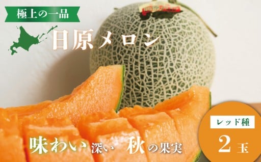 秋の極上の一品「日原メロン（レッド種）」
