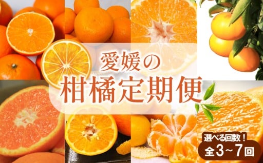愛媛の柑橘を定期便でお届けします