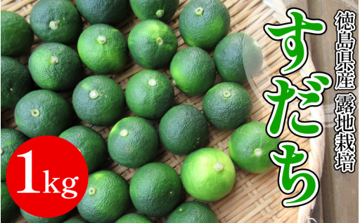 秋の食卓に欠かせない、徳島県産のすだち。  旬の香りを、ぜひご家庭で！