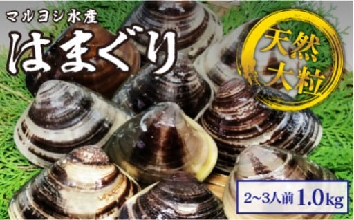 マルヨシ水産　桑名産大粒天然蛤　1kg_はまぐり