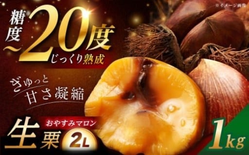 糖度20度！ 熟成された栗のおいしさをお届け！