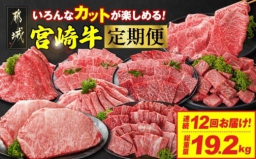 都城市より～≪12回連続お届け≫いろんなカットが楽しめる宮崎牛定期便L(総重量19.2kg)