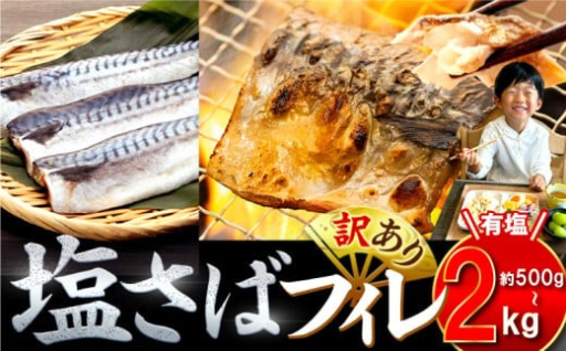 【規格外で訳あり】 訳あり 塩サバ 4~16枚 約500g~約2kg