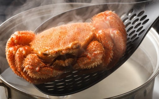 先行受付開始中です🦀✨