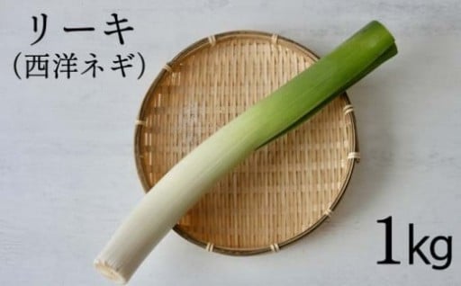 岩手県八幡平市産！稀少なリーキ（西洋ねぎ）！