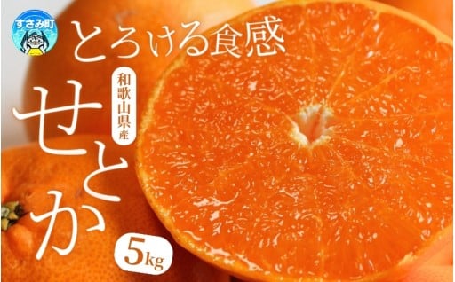 🍊一度は食べてみたい！”柑橘の大トロ” せとか🍊