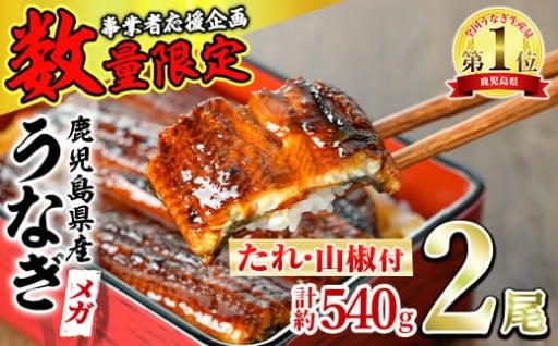 ＜数量限定＞＜メガサイズ＞「養鰻業者応援」うなぎ蒲焼き(無頭)(2尾・計約540g・タレ、山椒付)