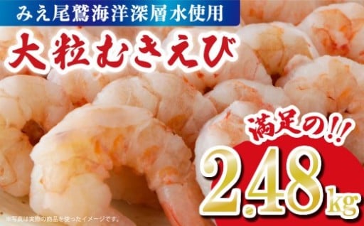 《期間限定 9月末まで増量中! 1.5倍》むきえび2.48kg （背ワタ処理済み） 冷凍 バラ凍結 小分け 