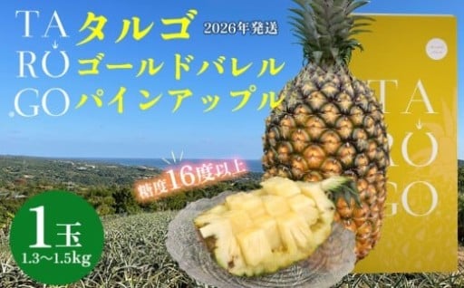 TARUGO　贈答用ゴールドバレルパイン　1玉（1.3～1.5kg）