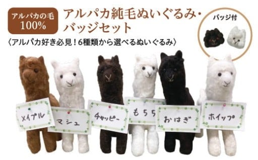 アルパカ純毛ぬいぐるみ・バッジセット