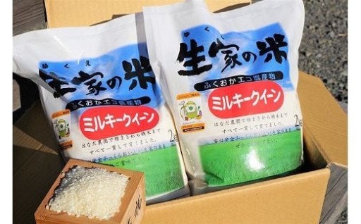 定期便ミルキークイーン4kg×12回計48kg