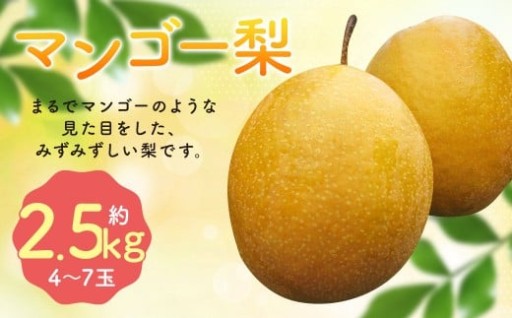 王秋梨 （ マンゴー梨 ） 約2.5kg （ 4-7玉 ）