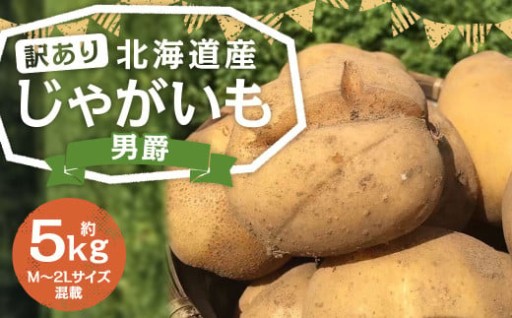 【訳あり】北海道産 じゃがいも 男爵 M～2Lサイズ混載 約5kg 1箱
