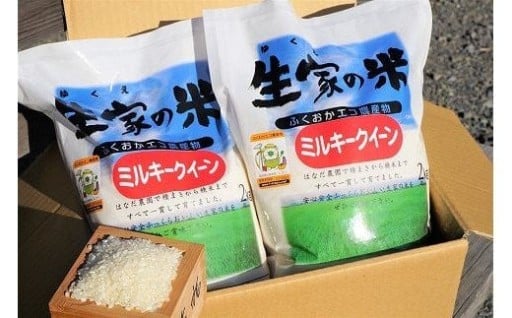 令和7年産ミルキークイーン2kg×2袋　計4kg