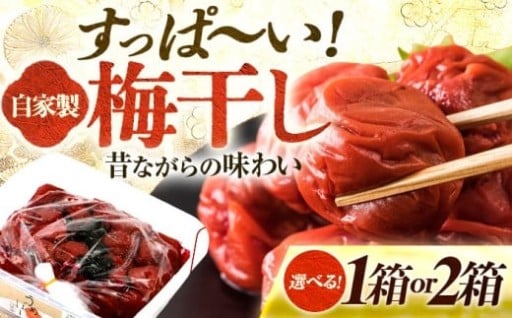 ＼ぽったり柔らか、小粒でも味わい深い梅干し／自家製 梅干し＼選べる容量900g × 1箱or2箱／