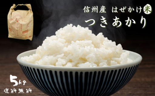 🌾✨新規返礼品のご案内✨🌾はぜかけ米　精米５㎏ 