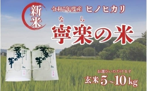 令和7年度産 新米 ヒノヒカリ 玄米 寧楽の米 数量限定 10kg･5kg【数量選択可能】ひのひかり