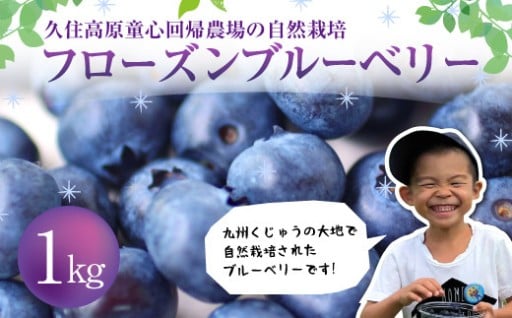 自然栽培フローズンブルーベリー1kg
