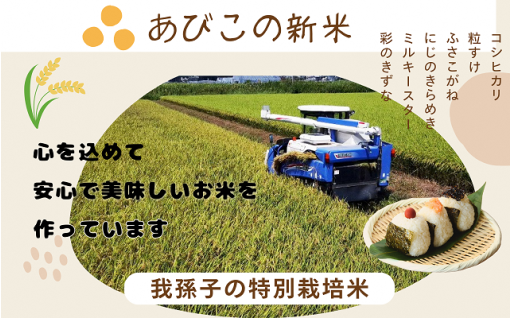 新米特集　あびこの特別栽培米を紹介します