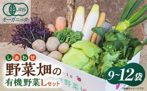 （有機JAS認証）旬のオーガニック野菜セット　