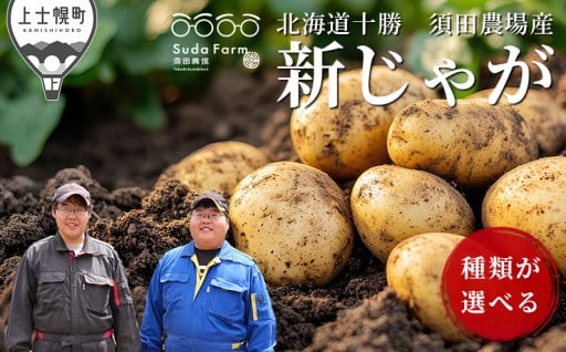 ミシュラン掲載店も使う、味わい豊かなじゃがいも