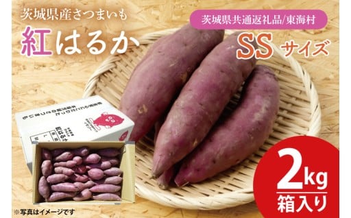 大好評につき数量限定で復活！