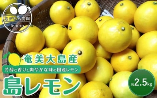 奄美大島産 島れもん 2.5kg＜芳醇な香りと爽やかな味の国産レモン＞