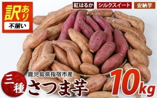 しっとり甘〜い！芋三昧10kg🍠