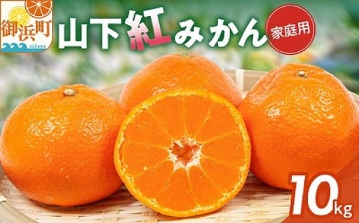 辻本農園の山下紅みかん10キロ🍊【市場に出回らない幻の一品👀】