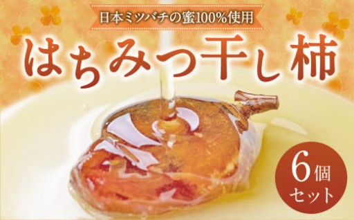 【TV番組で紹介されました】 日本ミツバチの蜜 100％使用 はちみつ 干し柿 6個入り