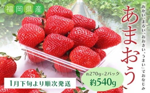 あまおういちご2パック （約270g×2パック） 計約540g