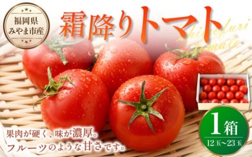 霜降りトマト 1箱（12玉から23玉 1kg以上）